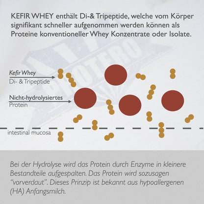 Kefir Whey Hydrolysate